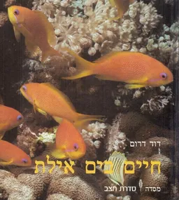 חיים בים אילת