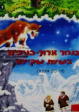 הנמר ארוך הניבים בשעת שקיעה