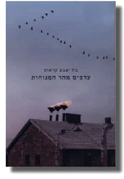 צדפים מהר המנוחות