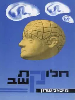 חלוקת קשב