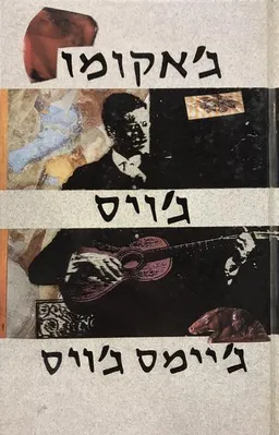 עטיפת הספר ג'אקומו ג'ויס מאת ג'יימס ג'ויס