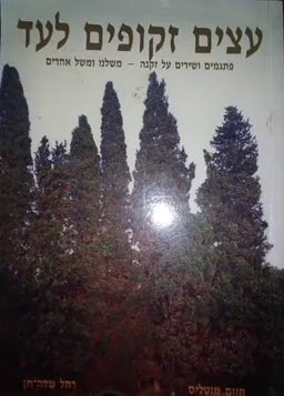 עצים זקופים לעד