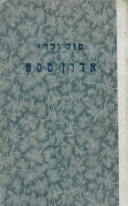 אדון טסט