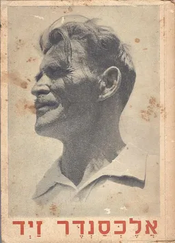 עטיפת הספר אלכסנדר זייד מאת ברכה חבס