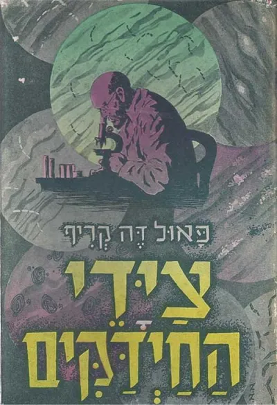 צידי החידקים