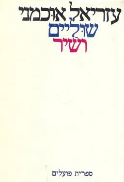 עטיפת הספר שוליים ושיר מאת עזריאל אוכמני