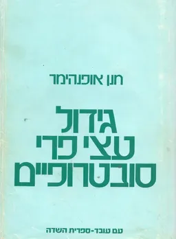 גידול עצי פרי סובטרופיים