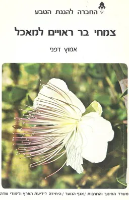 צמחי בר ראויים למאכל