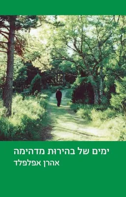 עטיפת הספר ימים של בהירות מדהימה מאת אהרן אפלפלד