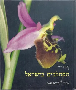 עטיפת הספר הסחלבים בישראל מאת אמוץ דפני