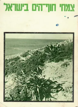 עטיפת צמחי חוף-הים בישראל