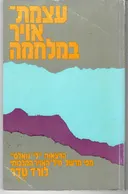 עצמת-אויר במלחמה 