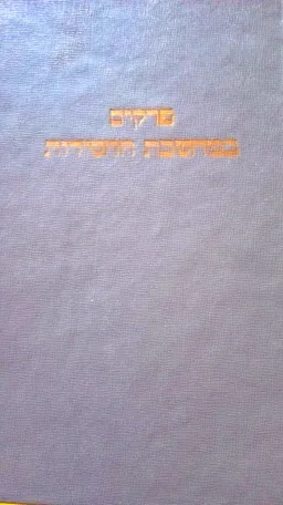 עטיפת הספר פרקים במחשבת החסידות מאת משה שלמה כשר