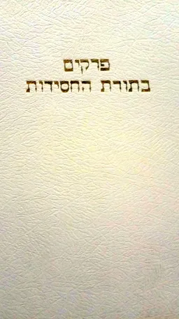 פרקים בתורת החסידות