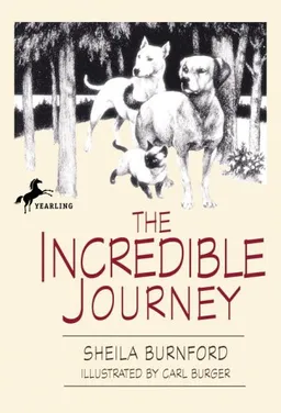 The incredible journey