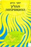 תהליך הפוטוסינתזה