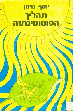 תהליך הפוטוסינתזה