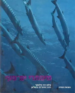 מיסתרי ים סוף