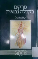 פרקים בקבלה נבואית
