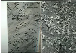 טביעות אצבעות של ציפורים