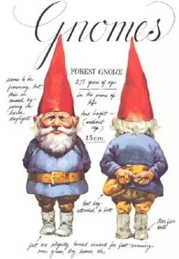 עטיפת Gnomes