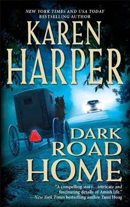 Dark road home