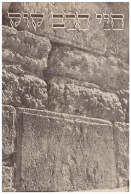 עטיפת חיי הרב קוק