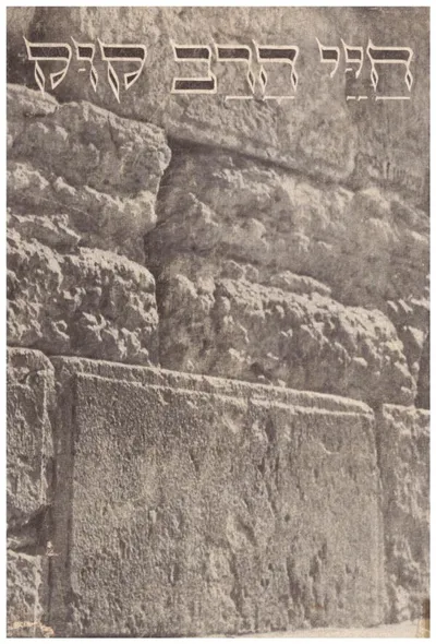 חיי הרב קוק
