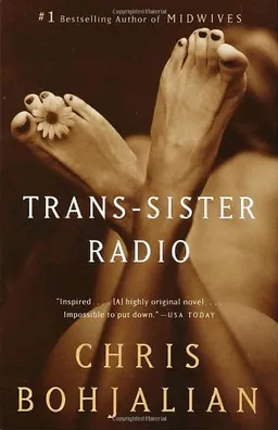 Trans-sister radio