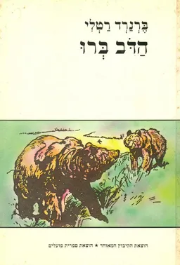 הדב ברו