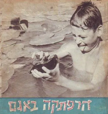 הרפתקה באגם : מעשה שהיה בים-החולה