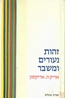 זהות נעורים ומשבר