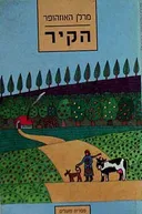 הקיר