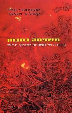 משפחה במבחן : קורותיה של משפחה בתהליך תראפי