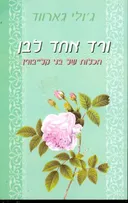 ורד אחד לבן