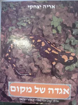 עטיפת הספר אגדה של מקום [כרך ב'] מאת אריה יצחקי