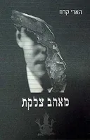 מאהב צלקת