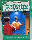 מי רוצה להיות רואה ואינו נראה?