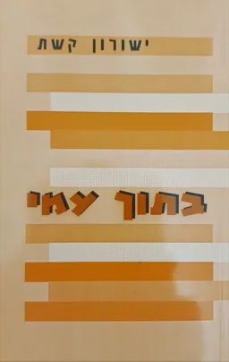 בתוך עמי