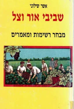 שביבי אור וצל