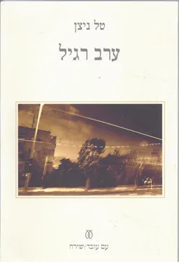 עטיפת הספר ערב רגיל מאת טל ניצן
