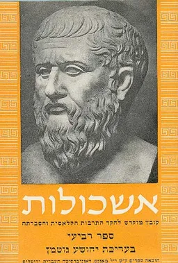 אשכולות קובץ ד - סדרה ישנה