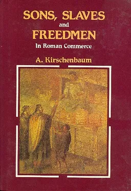 Sons, Slaves And Freedmen In Roman Commerce