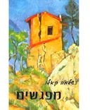 מפגשים