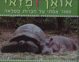 אואן ומזאי
