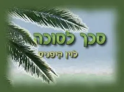 סכך לסכה