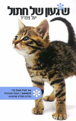 שיגעון של חתול