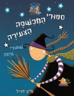 שיעורי טיסה