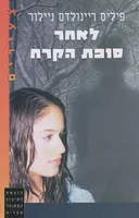 לאחר סופת הקרח