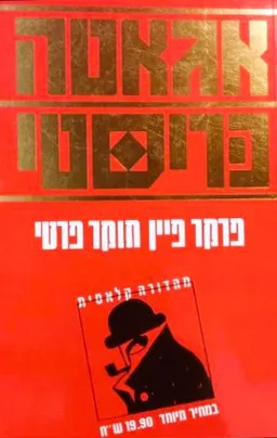 פרקר פיין חוקר פרטי